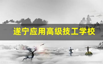 遂宁应用高级技工学校2024年录取分数(遂宁应用高级技工学校介绍录取分数线)