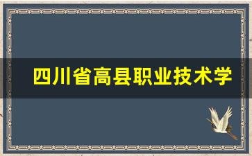 四川省高县职业技术学校2024年录取分数(高县职业技术学校官网)