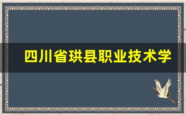 四川省珙县职业技术学校2024年录取分数(珙县职业高中)