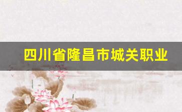 四川省隆昌市城关职业中学2024年录取分数(四川省隆昌市城关职业中学)