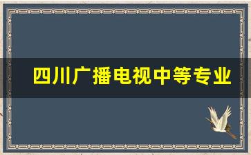 四川广播电视中等专业学校2024年录取分数(四川广播电视中等专业学校官网学籍查询网址)