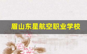 眉山东星航空职业学校2024年录取分数(四川东星航空职业学校)