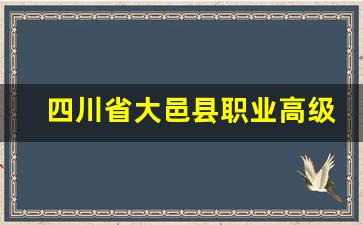 四川省大邑县职业高级中学2024年录取分数(大邑职业高级中学好吗)