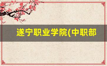 遂宁职业学院(中职部)2024年录取分数(遂宁职业学院)