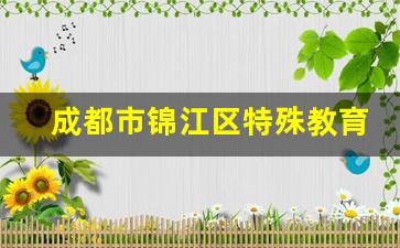 成都市锦江区特殊教育学校2024年录取分数(成都市锦江区特殊教育中心)